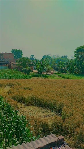 seko app download kar