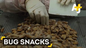 1.1M views · 6.2K reactions | Europe has approved insects for human consumption. Get ready for some bug snacks! | AJ+ | Facebook