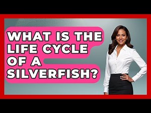 What Is The Life Cycle Of A Silverfish? - Insects and Invaders