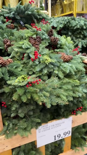 Costco_doesitagain on Instagram: "Noble Fir Christmas Wreaths $19.99 🎄✨🎄"