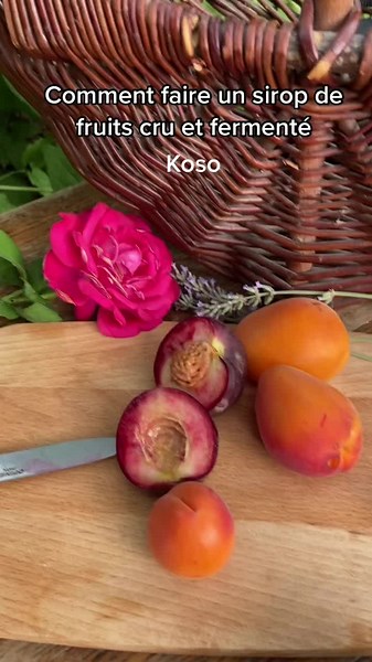 Tous les détails de la technique du koso sur le site de l’académie fermentation.com #koso #fermentationmaison #fermentation #recettemaison