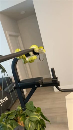 112K views · 10K reactions | Part 8 out of 11. Green Bean and the...