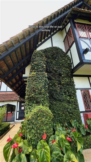 Bim Garcia on Instagram: "POV: I didn’t just stay here… I fell in love with this hotel #cameronhighlands #cameronhighlandstrip #visitmalaysia #highlandvillage"