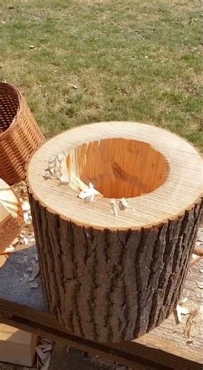 Log Beehive Making: Traditional Hollowing Crafting Nature Friendly Homes