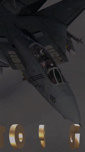 The Timeless Beauty of the F-14 Tomcat Aircraft