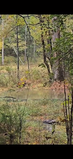 #beavers #clickclickboom #Draining Mark L. Riddle John Hodges Clyde Tackitt | Cody Riddle Band