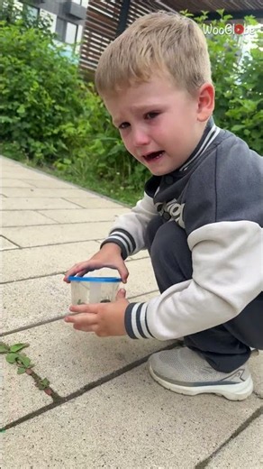 Letting Go Pet: Boy's Emotional Farewell to His Beetle