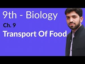 Matric part 1 Biology, Transport of Food - Ch 9 Transport - 9th Class Biology