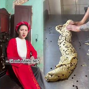 Phần 2 Sự nhầm lẫn tai hại hay là cố tình Võ Tòng Đánh Mèo