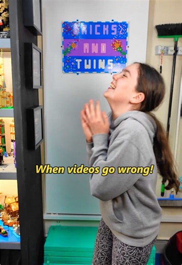 Bricks and Twins on TikTok