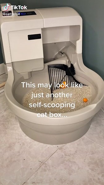 Revolutionary Self-Scooping Cat Box: CatGenie Review