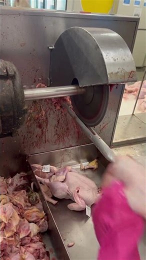Amazing chicken cutting skill#shorts #shortvideo #shortsviral #youtubeshorts
