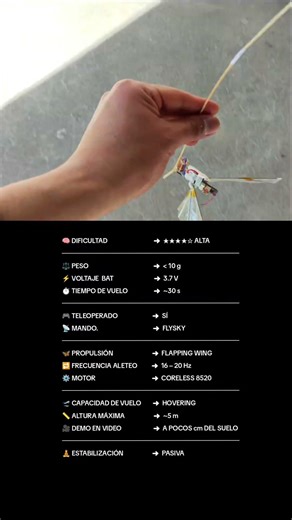 Es posible innovar sin dinero: Flapping Wing MAV de Microescala con Estabilidad Pasiva