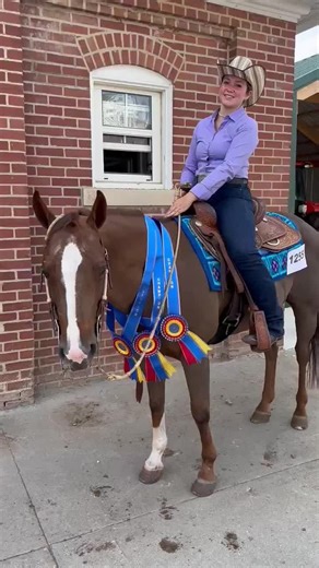 💙❤️💛Missing horse show season already. Big plans ahead though for WWU. #horseshow #equestrian
