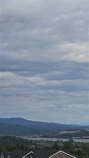 Interactive Brokers Trader Workstation.Free app at: https://ibkr.com/referral/thomas5809