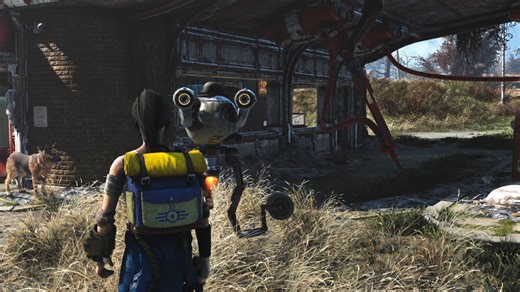 99K views · 837 reactions | Testing Fallout 4 with just a few mods. Here's the new setup so far, just searching for prettier trees right now. #fallout4 #gaming | Elder Scrolls & Fallout Screenshots | Facebook