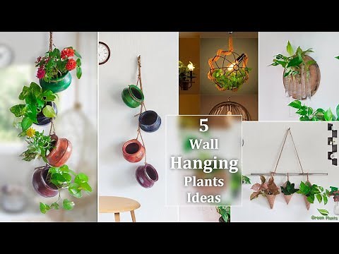 5 Wall Hanging Plants Decor Ideas Using Indoor Plants for the Front of Your House//GREEN PLANTS