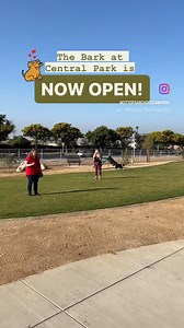 8.2K views · 274 reactions | The Bark at Central Park is NOW OPEN!...