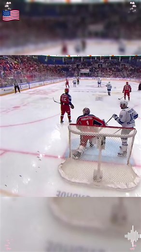 Don't Touch the Goalie in Hockey: Tips for Players