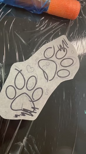 Sarah Anne Davis on TikTok