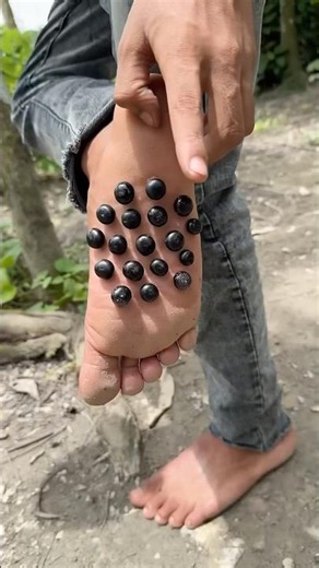 Survival skills: Simple and useful idea #bushcraft #comedy