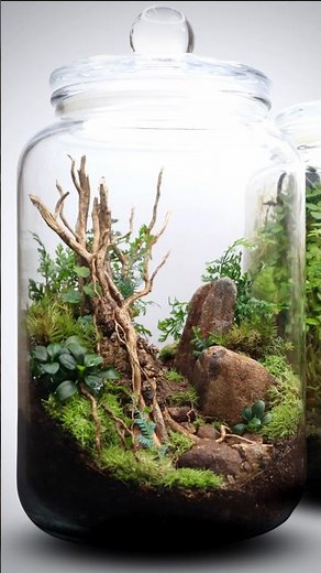 Serene Terrascape 🌿