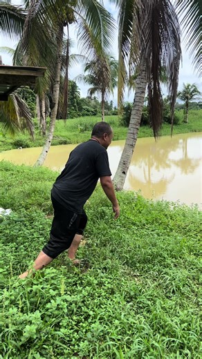 Delicious Goat Spit-Roast at Shabab Farm: Authentic Kronik Ambing Golek Recipe