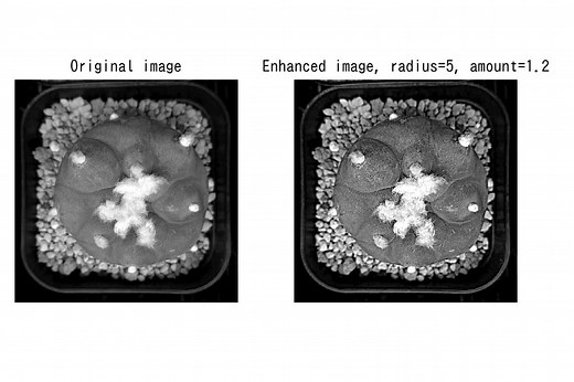 [scikit-image] 36. アンシャープマスク処理による画像の鮮明化(skimage.filters unsharp_mask)