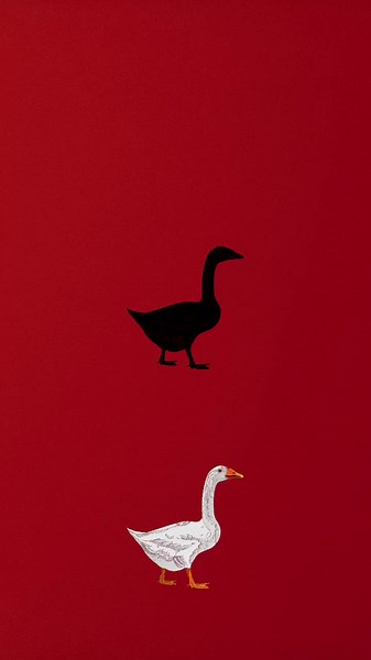 Animated Silhouettes of Duck and Goose in Vibrant Colors