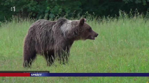 4.3K views · 42 reactions | Štátna ochrana prírody spúšťa monitoring...