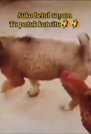 one12 (@12one50)’s videos with original sound - one12