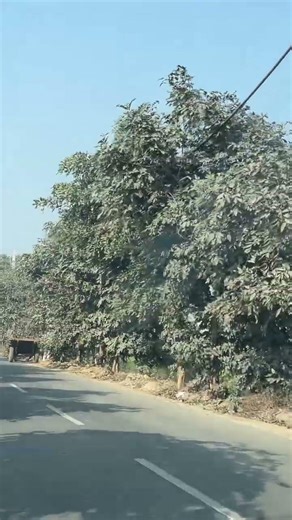 Use this sound #algorithm #funny #trending #travel