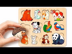 Animal Puzzle Challenge 🐾 Find the Missing Animals & Learn While Playing