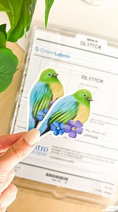 #ad Making new sticker with @onlinelabels clear gloss sticker paper! 🌿 Clear stickers are so fun! I love how vibrant this bird sticker turned out and the paper cuts super well! Check out my link in bio to save 10% off your first order! 🤍 #stickers #stickermaking #onlinelabels #crafts #diycrafts #stickershop #clearstickers #aesthetic #craftideas | Tabs Art Shop