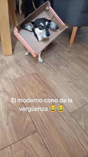 1.6K views · 13 reactions | Jose Castro on Reels | Facebook