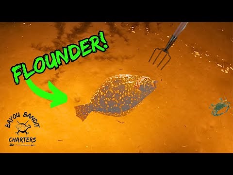 Alabama flounder gigging and Bow Fishing!