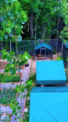 Amazing Integrated Farm Design