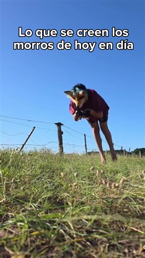 Descubre el inesperado final de este video