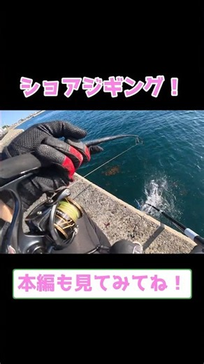 Summer light shore jigging! I was aiming for small bluefin tuna, but ended up in a fierce battle ...