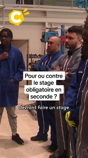 Le stage obligatoire en seconde : Pour ou contre ?