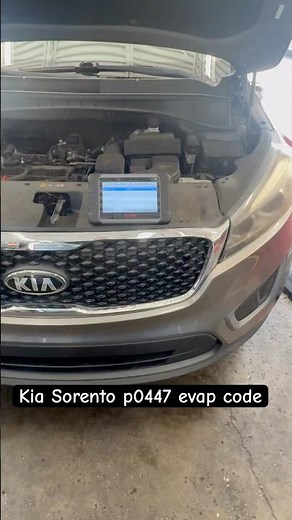 Kia Sorrento Evap Code p0447. Critter problems !