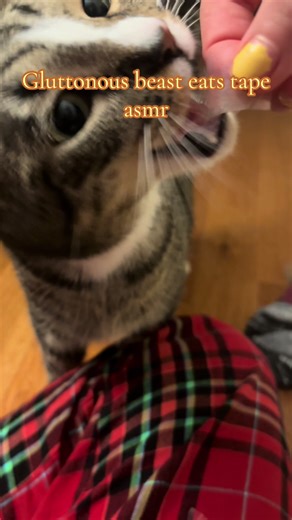 #asmr