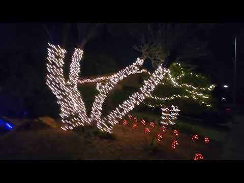 #wow #now eevee whatchies more Christmas lights