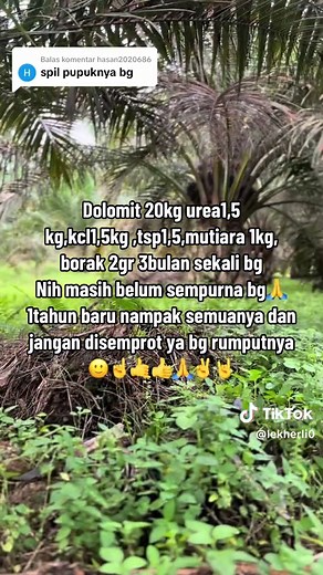 Membalas @hasan2020686 #perani im