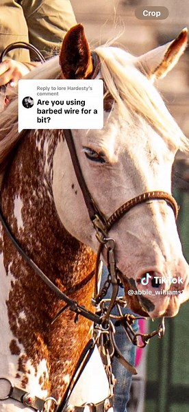 Breakaway Roping Tips for Beginners in Rodeo