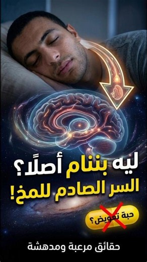 لماذا لا يمكنك العيش بدون أن تنام؟