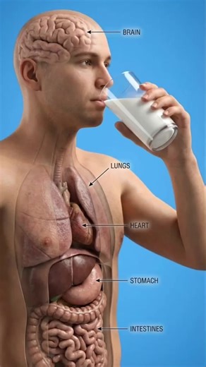 Health & Science 🎊🫀 (@health.science75)’s videos with original sound - VITALS VISUALIZED