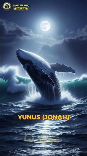 25 Prophets in Islam 🌙 | All Prophets (Nabi) from Adam to Muhammad ﷺ | Islamic Reminder