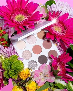 Doll 10 Beauty | DOLL 10 x @sharaleesboxofchocolates 😍🙌 MY TRUE BEAUTY TALC-FREE EYESHADOW PALETTE!🌸💗 ‼️COMMENT “SHOP” & we’ll send the link to purchase... | Instagram