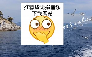 推荐些无损音乐下载网站,免费下载VIP的歌曲